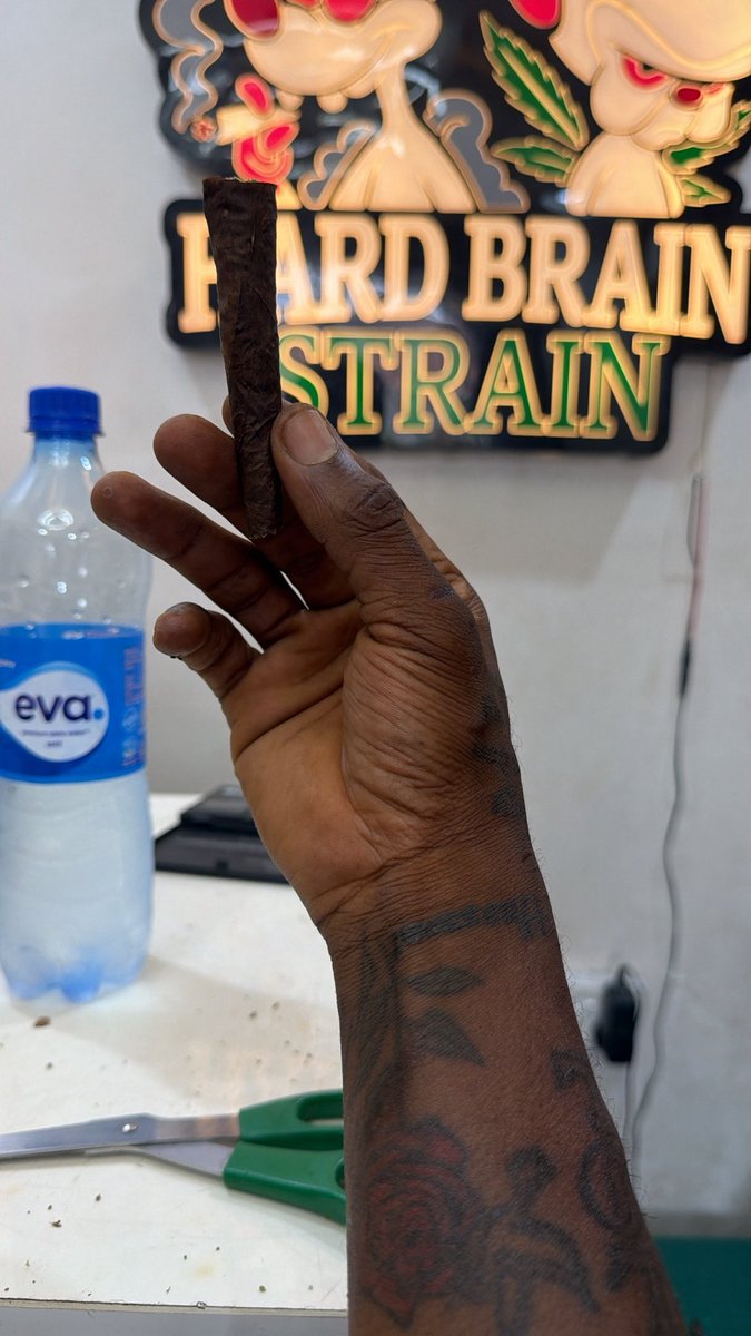 HARD BRAIN 🧠 STRAIN 🌳 tweet media