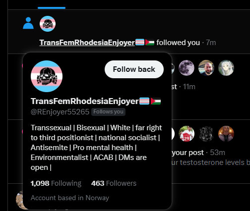 allisx86 tweet media