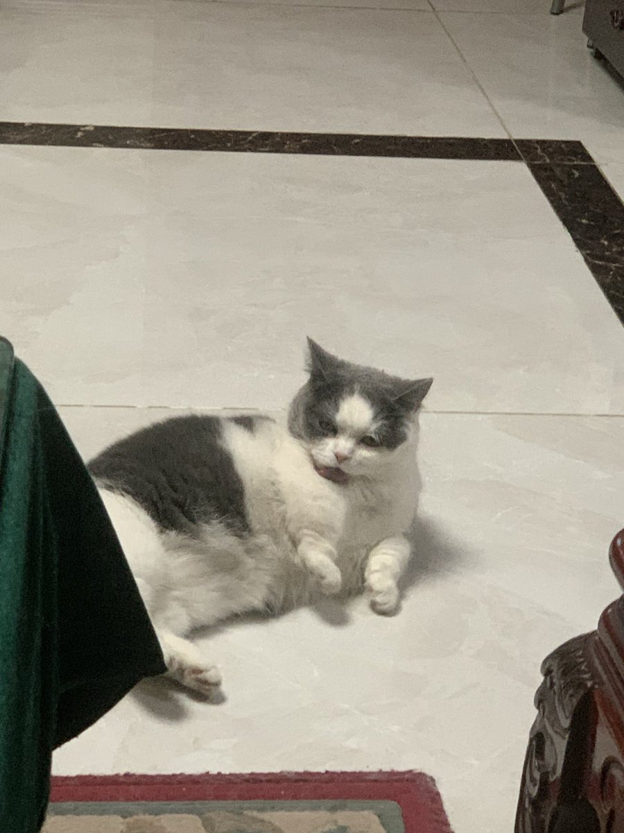 Cell_Eater tweet media