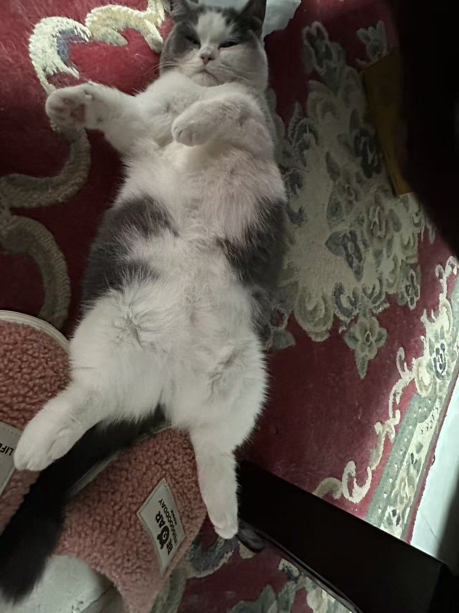 Cell_Eater tweet media