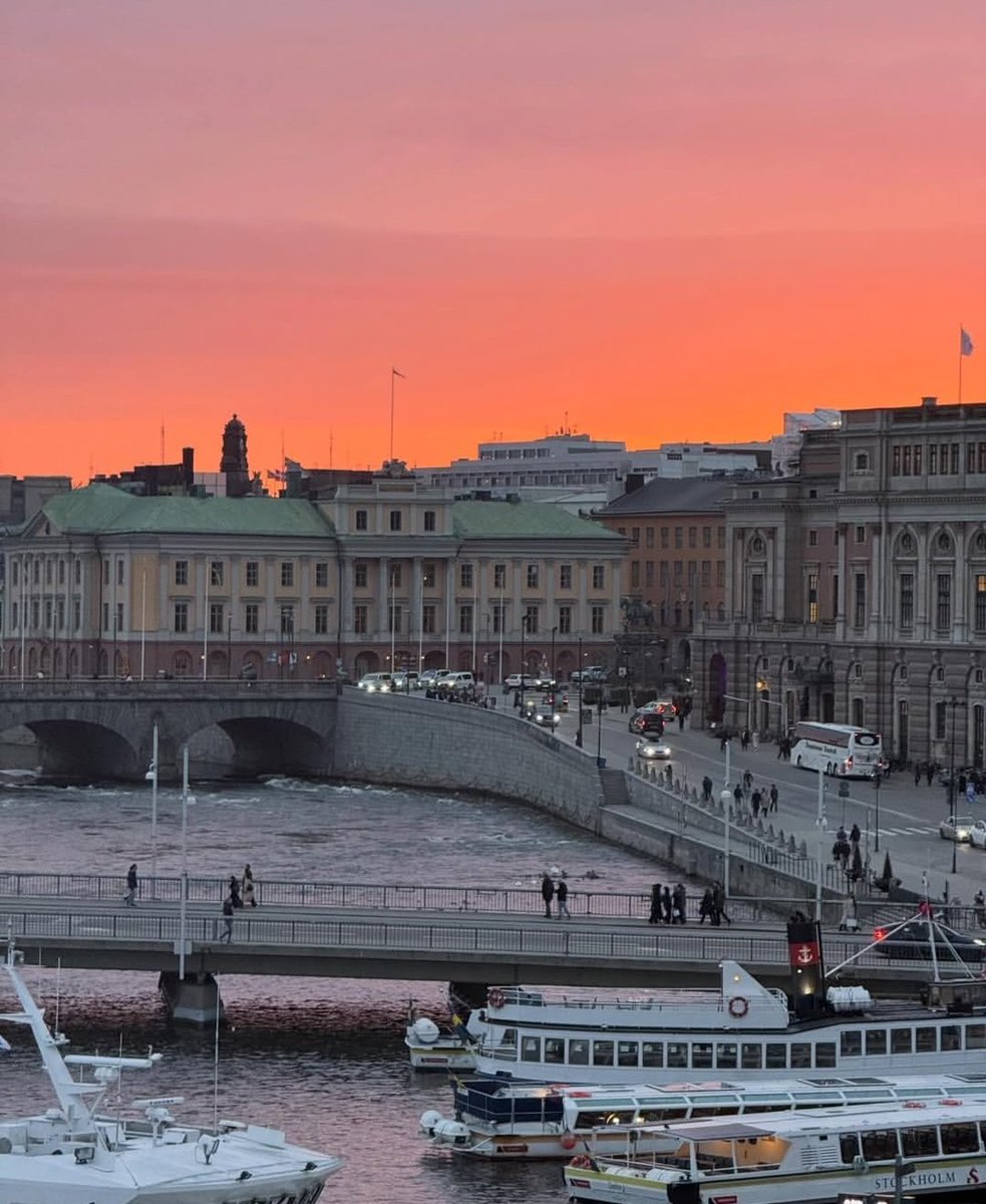 Louis Tomlinson Spain ໑̣ ໑̣ tweet media