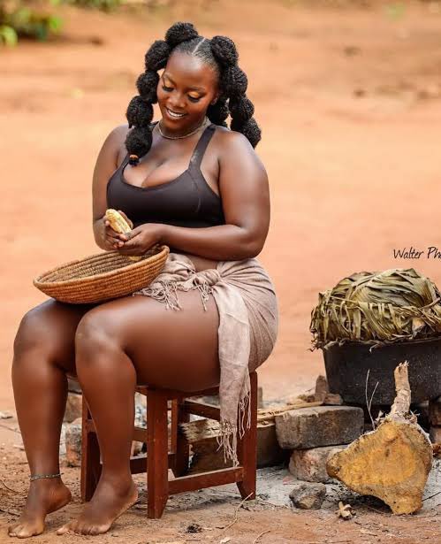 Mzilikazi wa Afrika tweet media