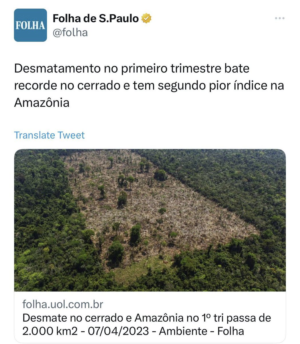 Alberto Murray Neto tweet media