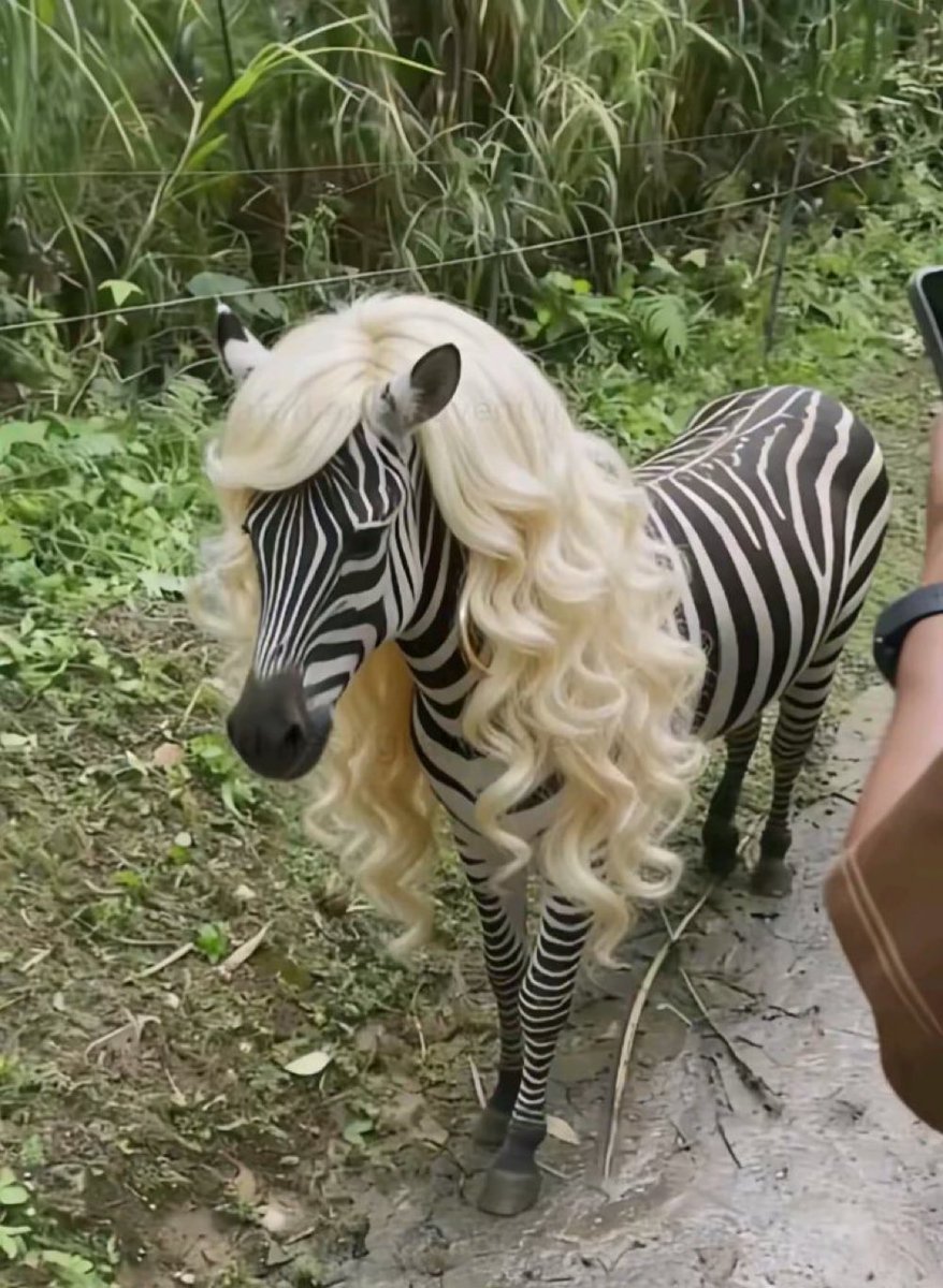 meg 🦈 tweet media