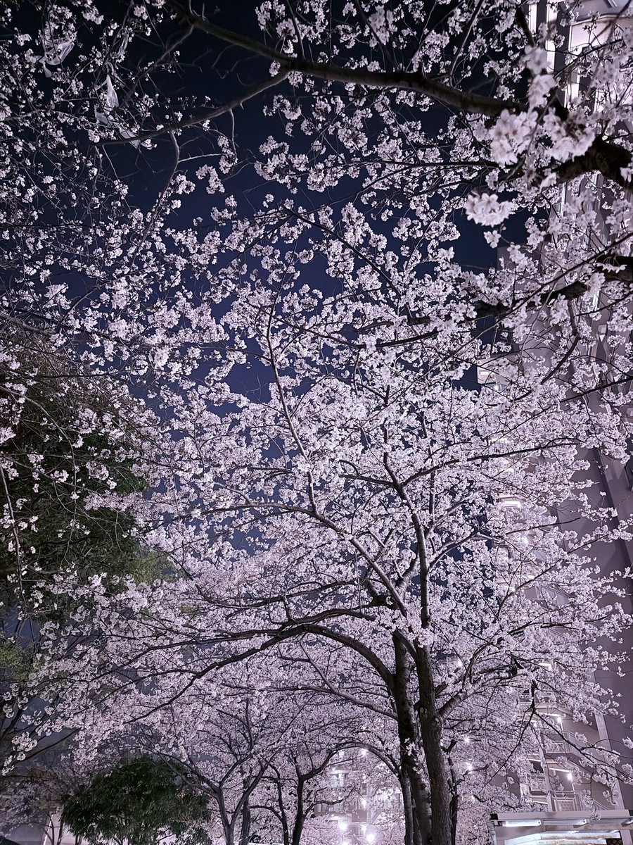 たなかしん tweet media