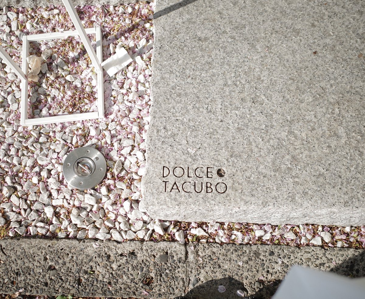 𝗄𝖺𝗋𝗂 tweet media