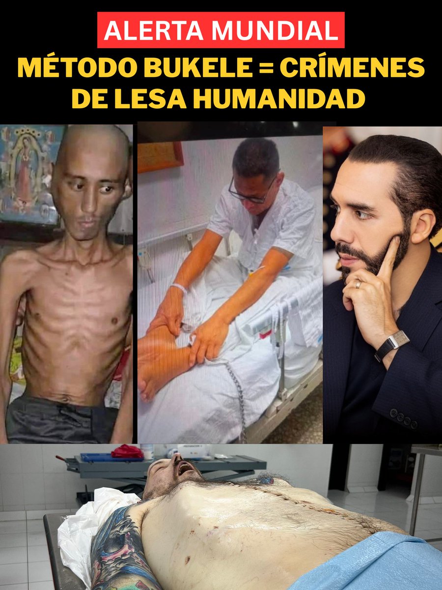 oskland10's tweet photo. 🆘️🇸🇻 | #ALERTA MUNDIAL: ¡comprobado!. El régimen #Bukele es igual a Crímenes de Lesa Humanidad. https://t.co/lJCoRIuMb0