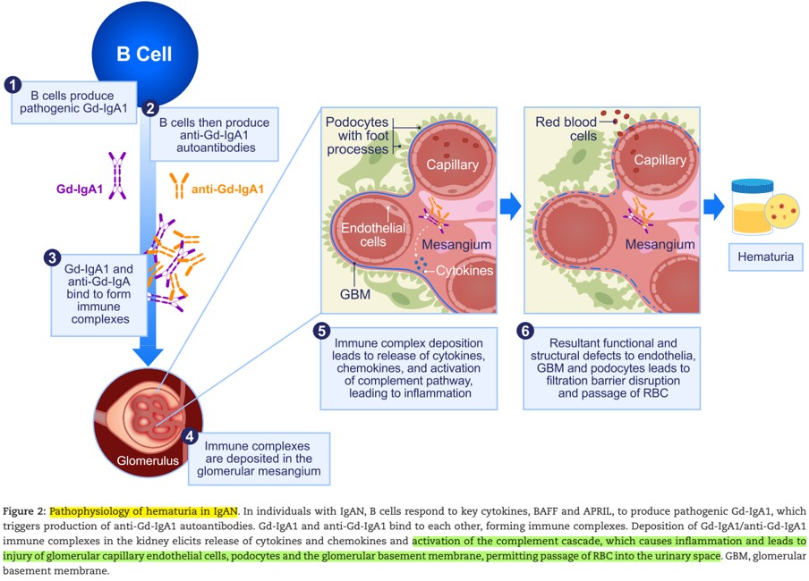 Nefro_Tweets tweet media