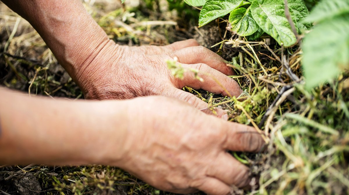 Truffaut tweet media