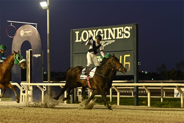 Villach King tweet media