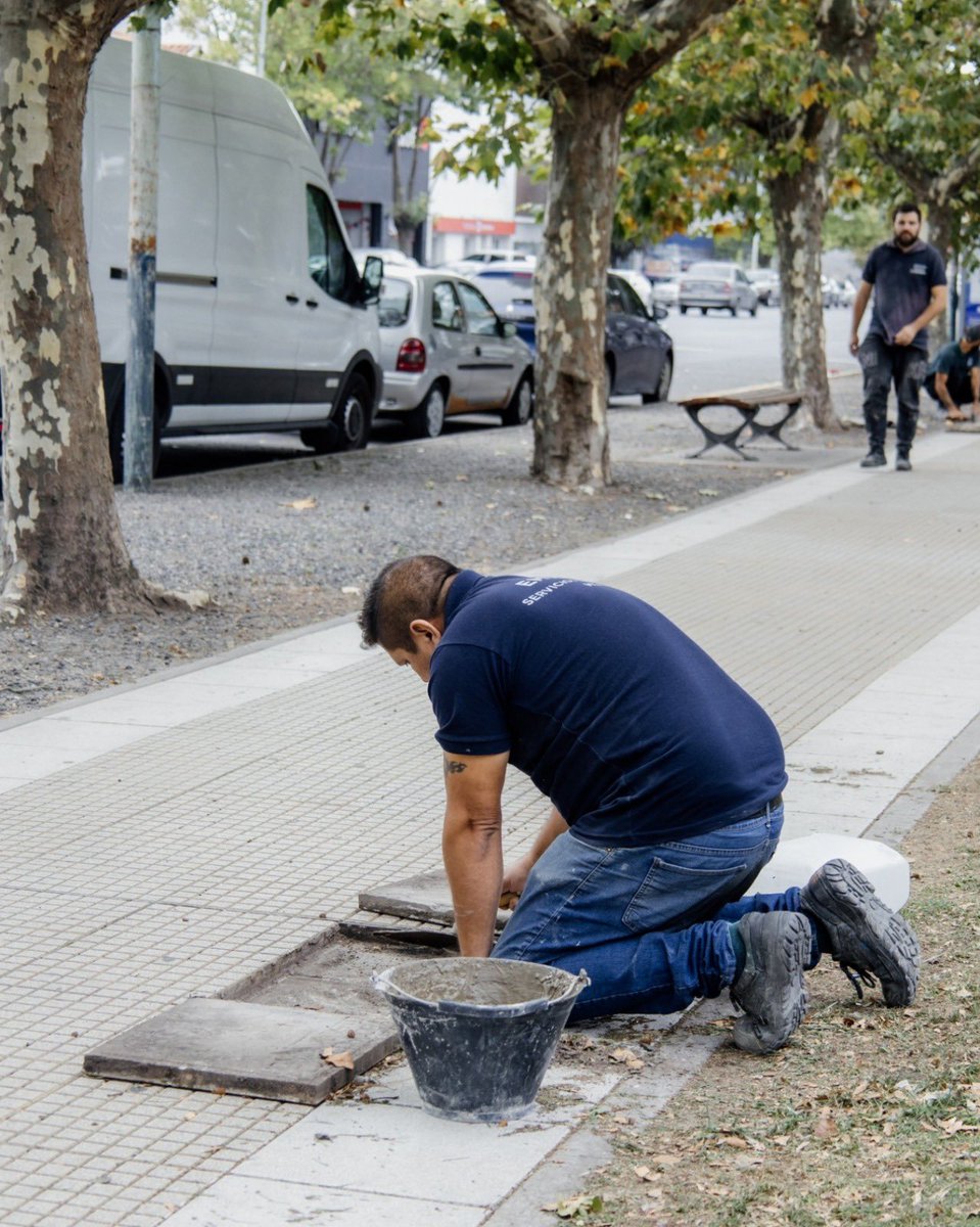 Servicios Urbanos Mar del Plata tweet media