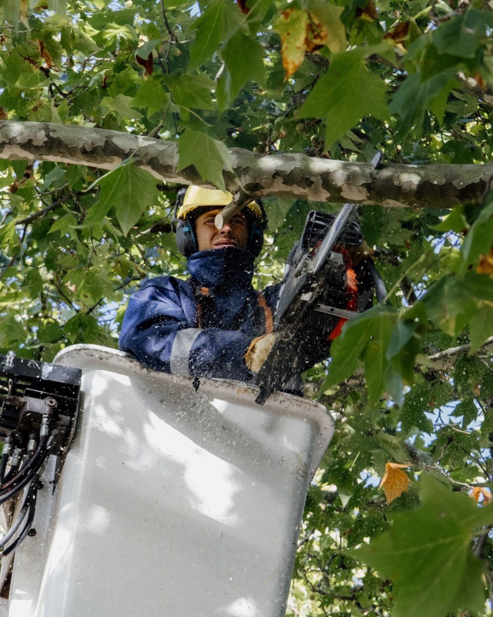 Servicios Urbanos Mar del Plata tweet media