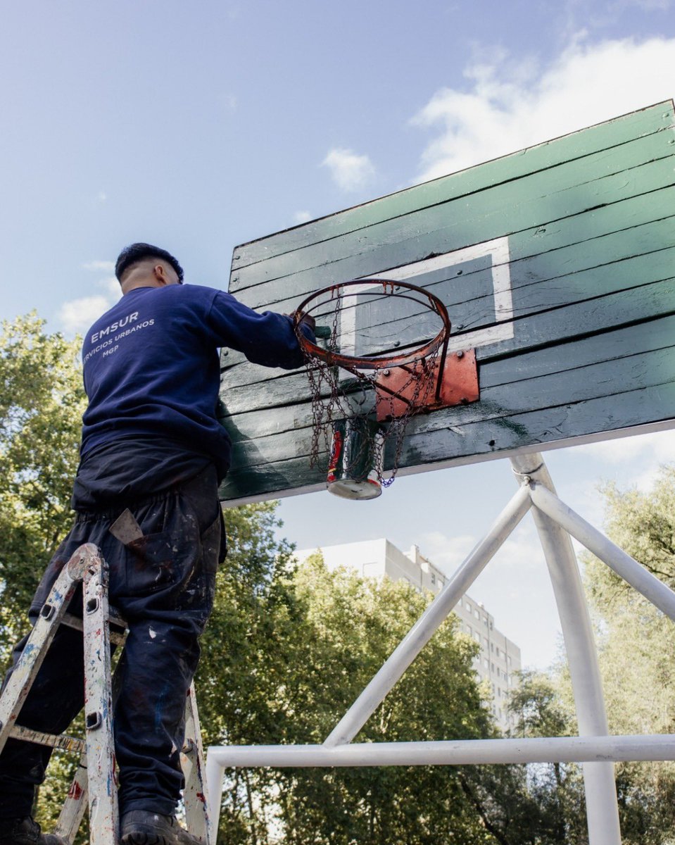 Servicios Urbanos Mar del Plata tweet media