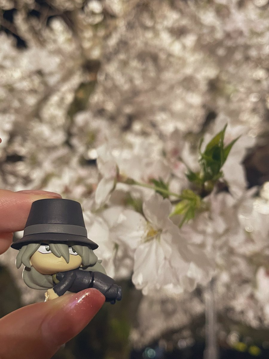 妖精…？🌸🧝🏻‍♀️