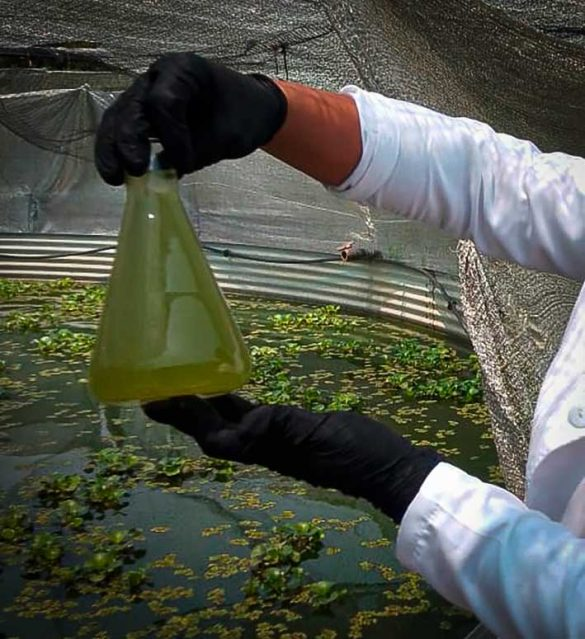 La Inventadera tweet media