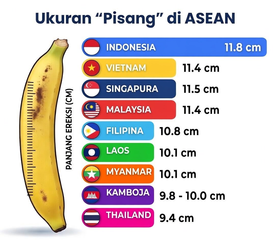 SEA News tweet media