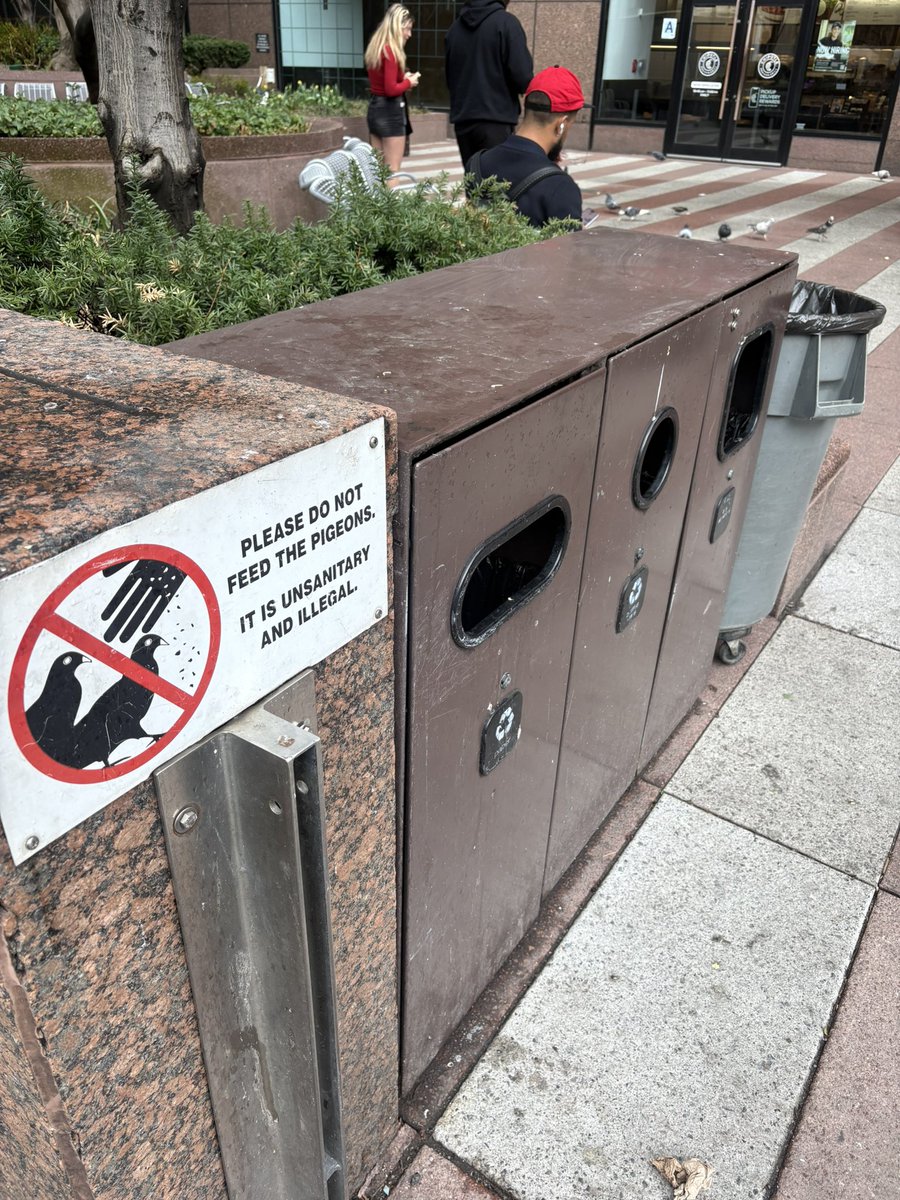 SullivanSaysSoCal tweet media