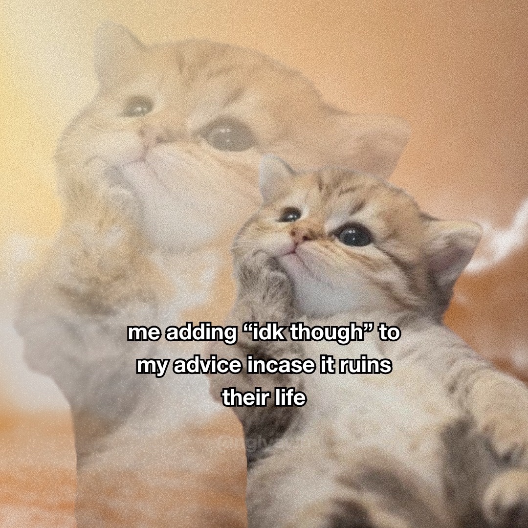 No Context Cats tweet media