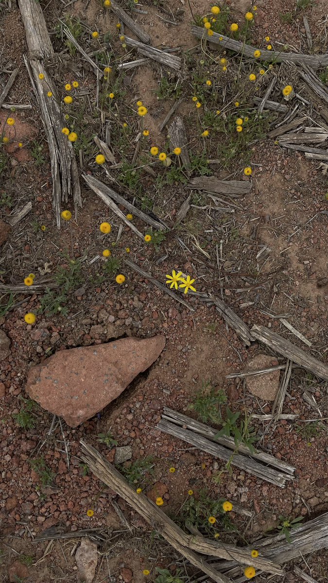 Sheo 𖤐 tweet media