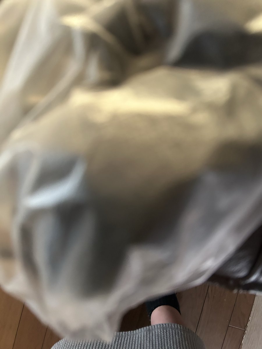 八丁堀 tweet media