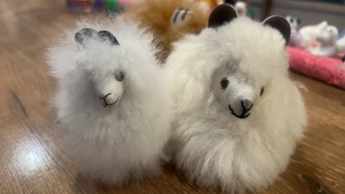 難波益美 tweet media