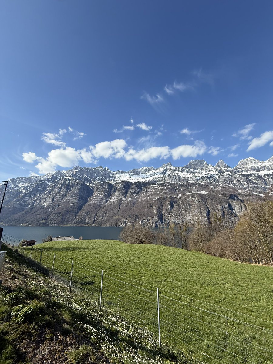 BERDirektor's tweet image. #Walensee 🇨🇭