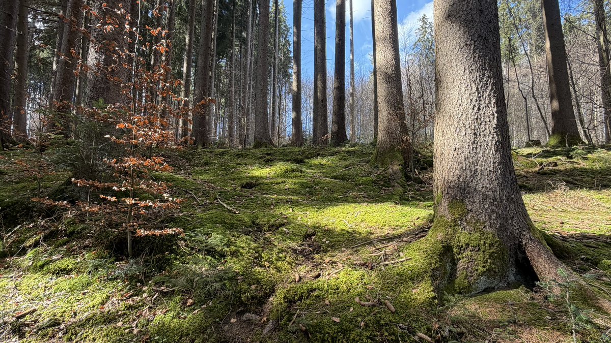 Mr. Banghead tweet media