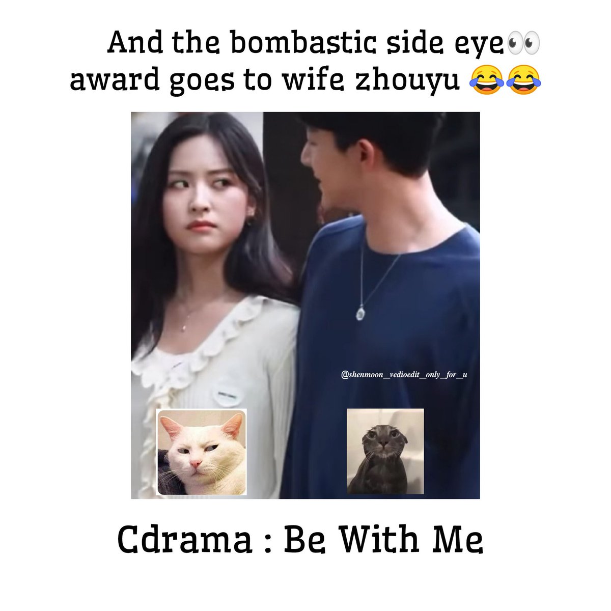 shenmoon _vedioedit_only_for_u🦋 tweet media