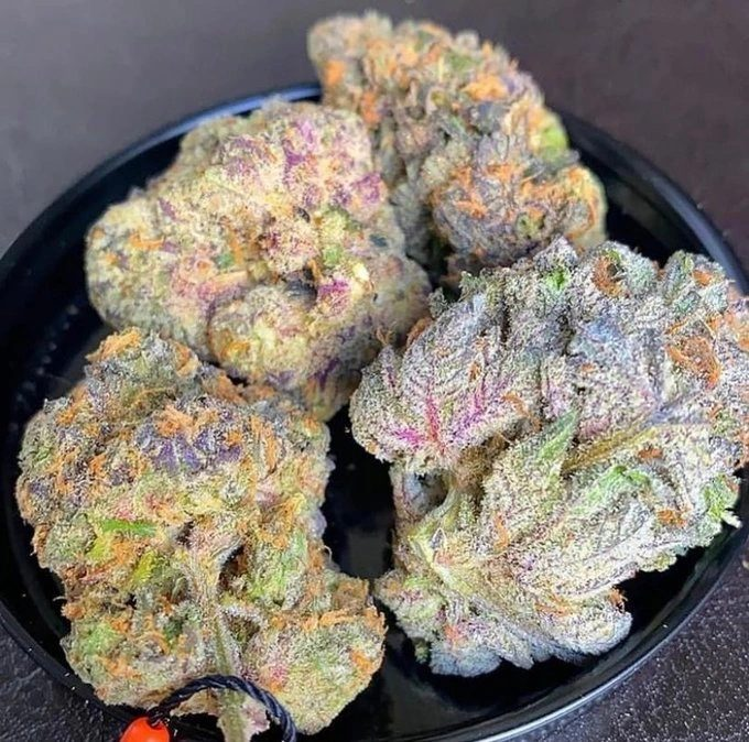 SPACECANNABIS's tweet photo. Fruitin pebles https://t.co/6KL4rMwXpW