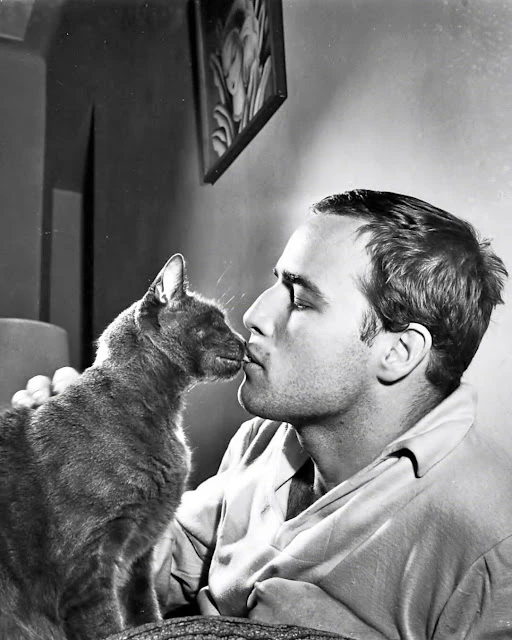 Eric Alterman, blue check tweet media