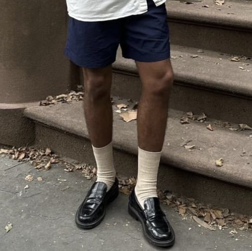 Vindictive Birds tweet media