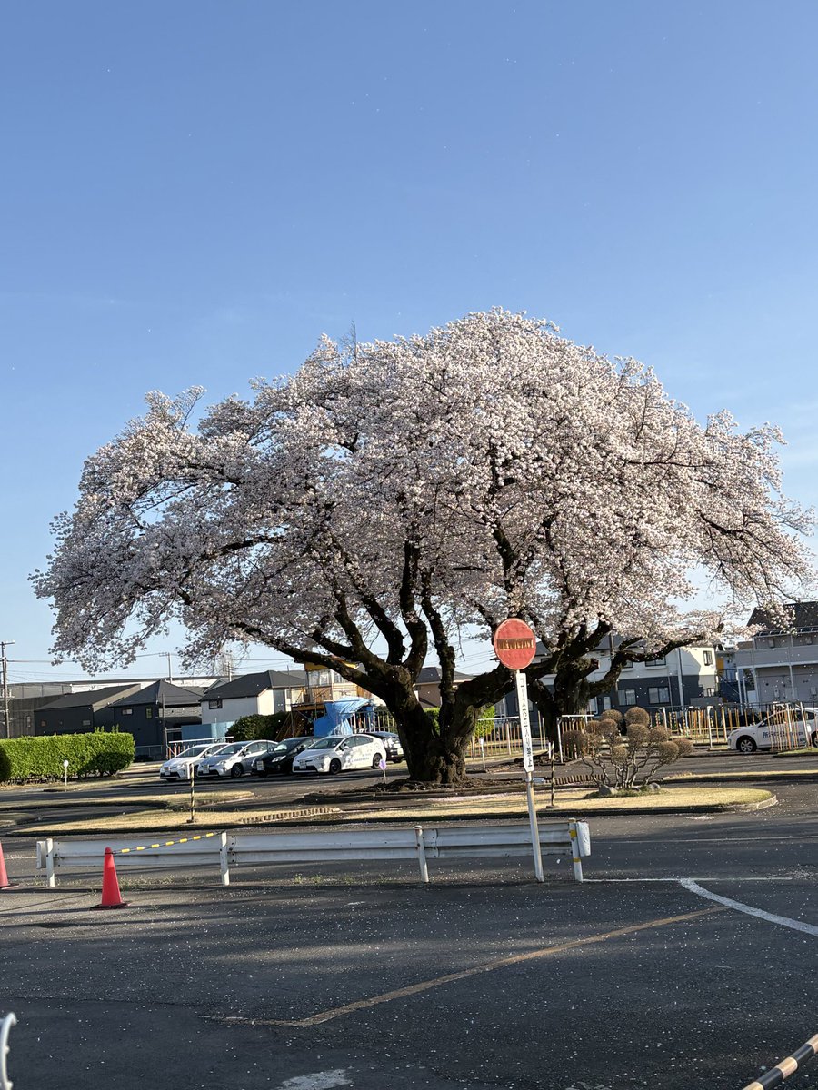 なな★転倒虫 tweet media