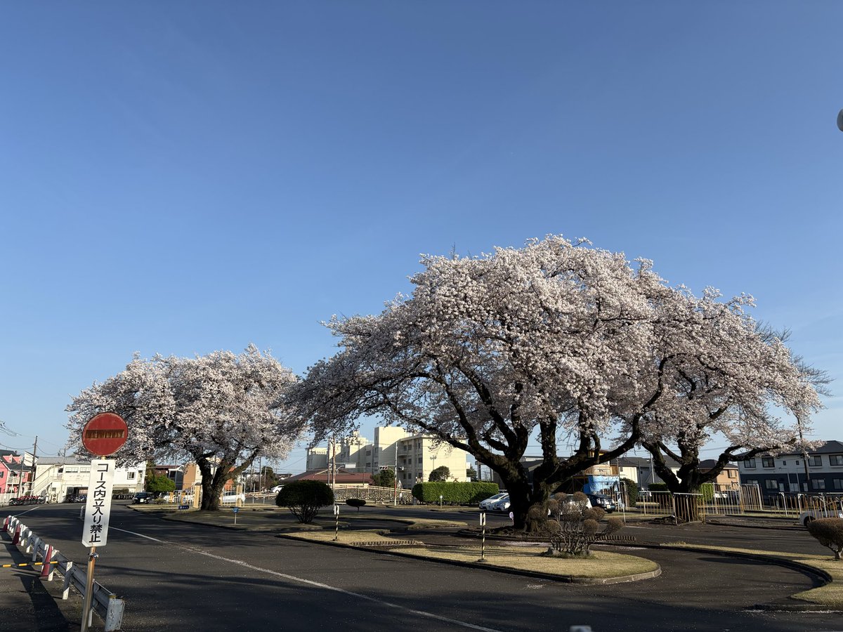 なな★転倒虫 tweet media