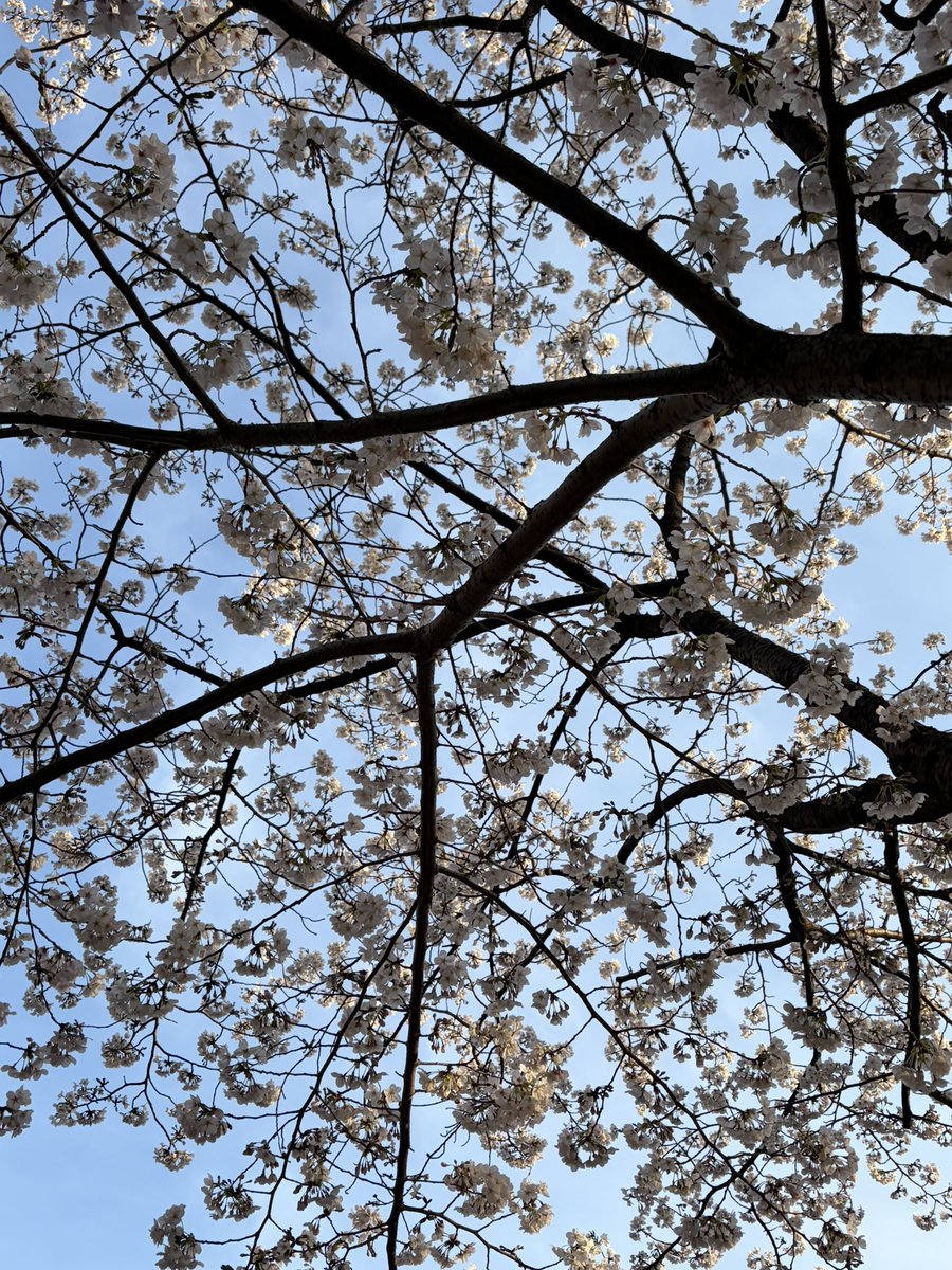 あやちゃんまん tweet media