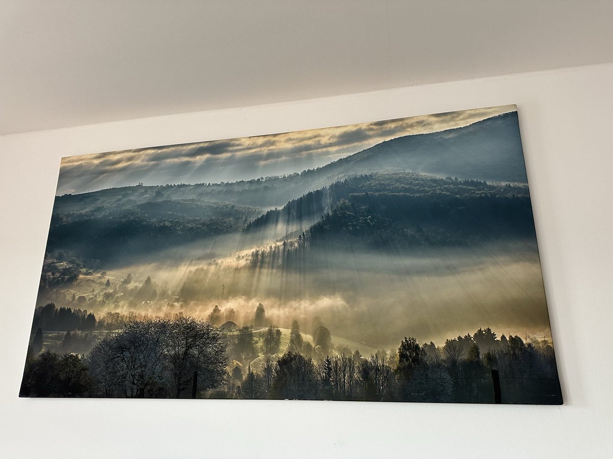 Kateřina Věra Holna tweet media