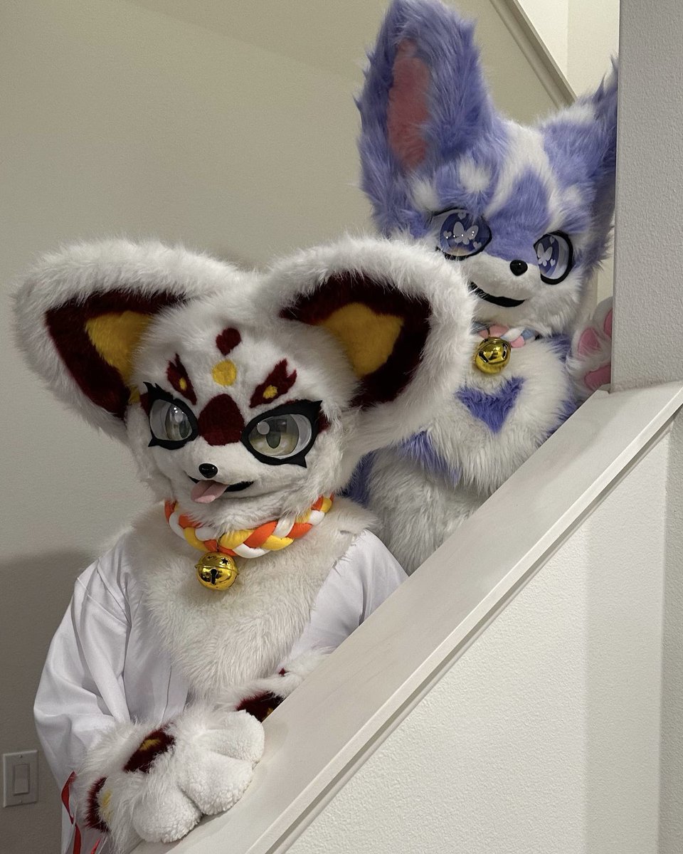 MukubirdAtYT's tweet photo. Happy #FursuitFriday from Homura and Taro! They will be roaming around @LasVegasFurCon this weekend so feel free to stop and say hi! 🦊🐱

#furry #fursuit #kemono #ケモノ #LVFC https://t.co/JssgTMzfBI