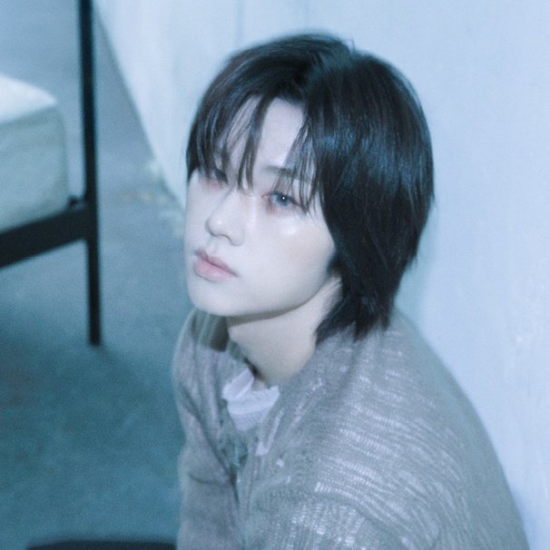 Lycoris࣪ ִֶָ☾. tweet media