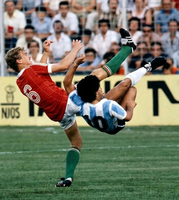 ariel mario castro tweet media