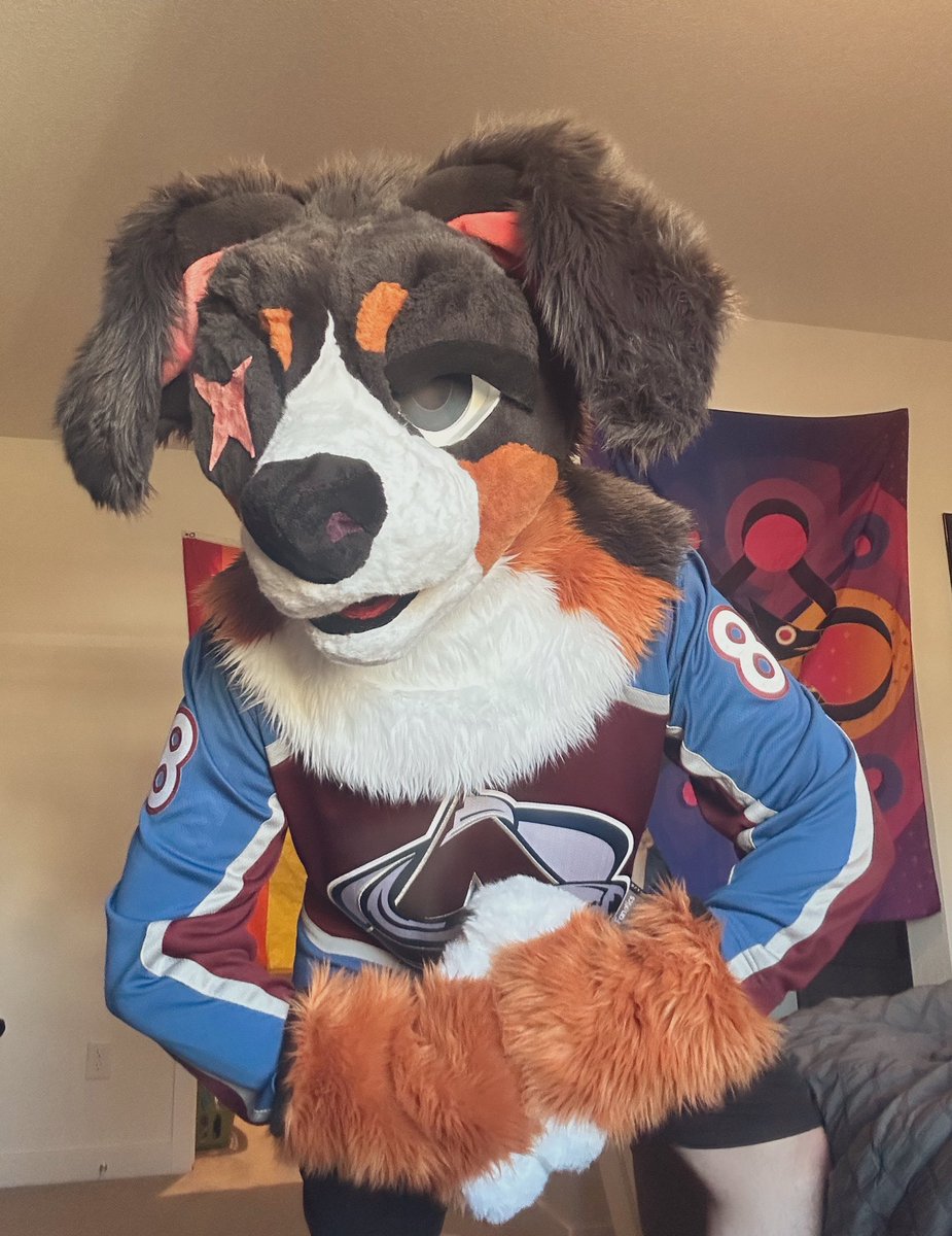 D🏔️RT 🦮 tweet media