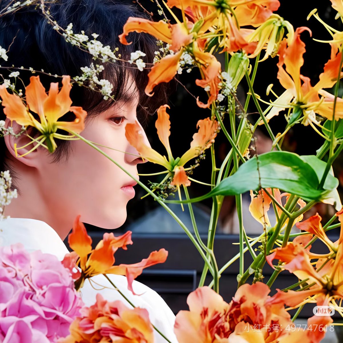 Looking for something? tweet media