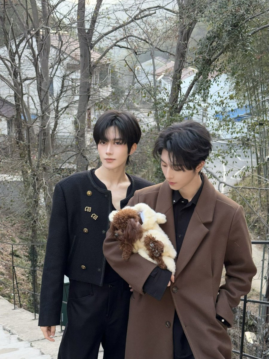 Looking for something? tweet media