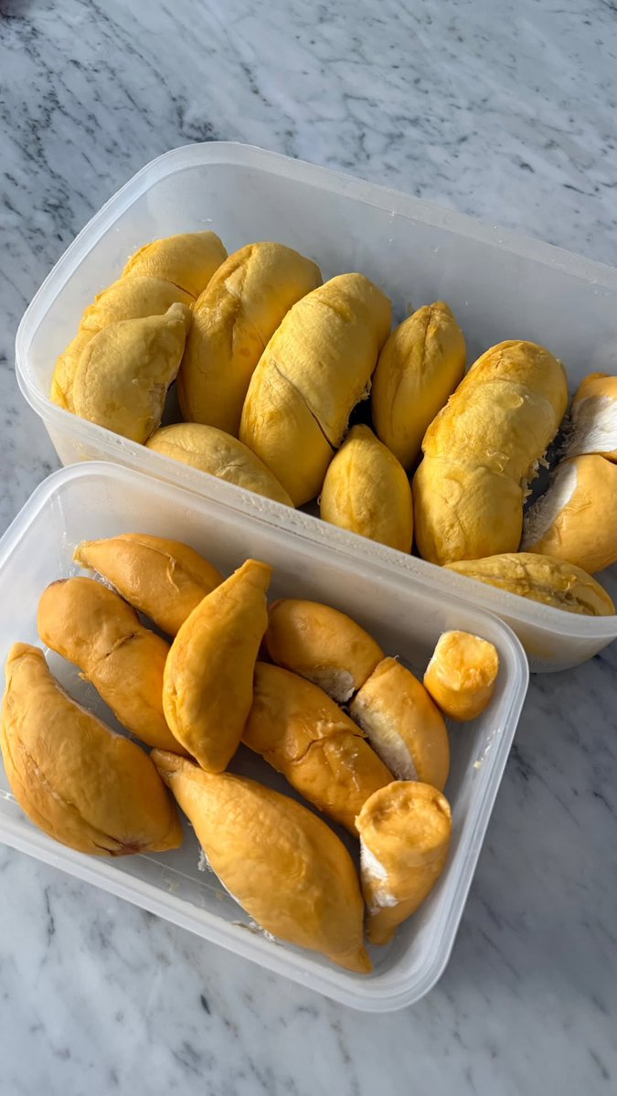 NuNew KOREA FC new tweet media