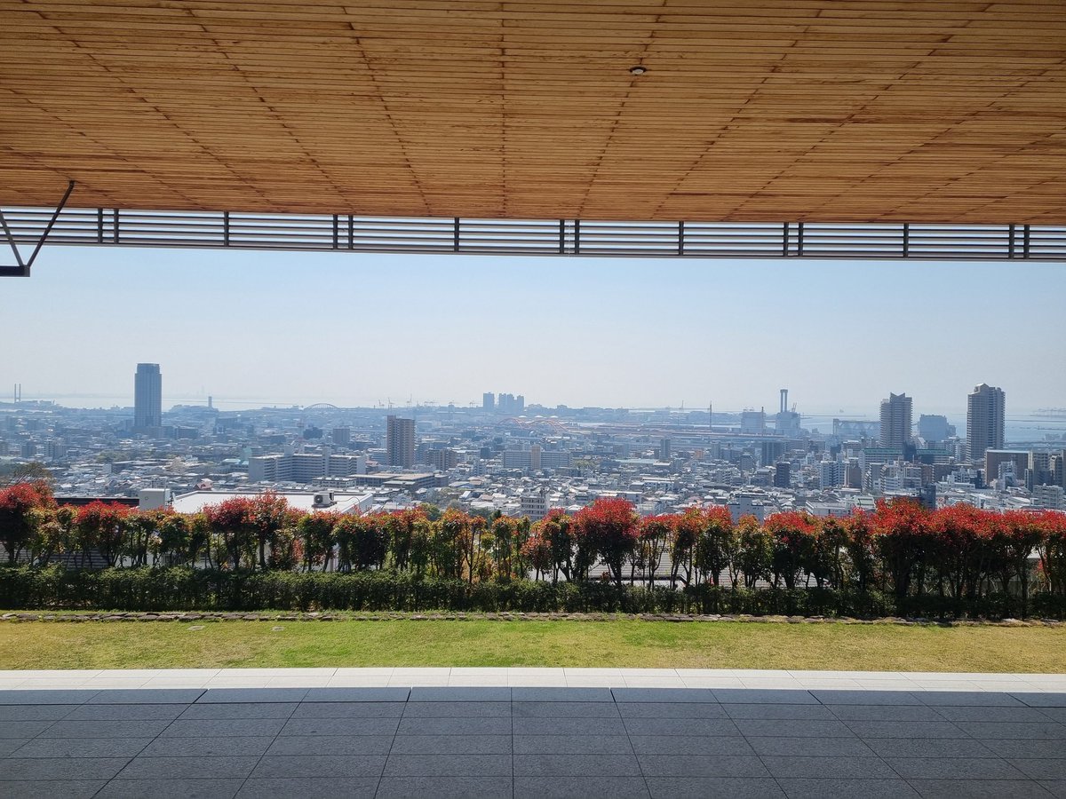 고등어햄 tweet media