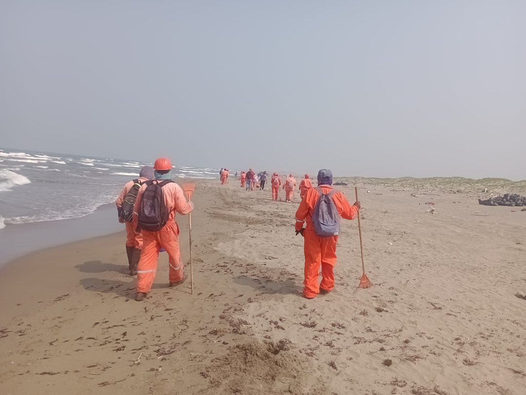 En Playa Barrillas, Veracruz, continúan las acciones de atención y limpieza para preservar este importante espacio natural.

Con el trabajo coordinado de brigadas en campo, se realizan labores permanentes de recolección y manejo de residuos, así como recorridos de supervisión
