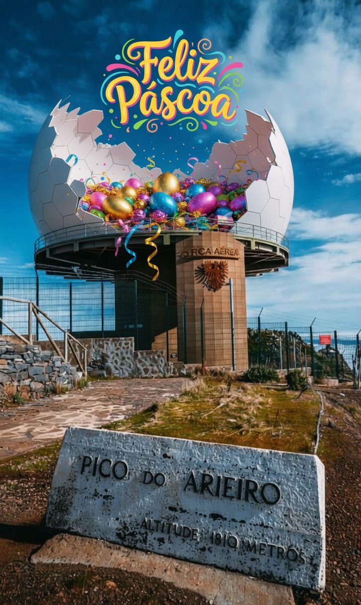 Madeira Island / Ilha da Madeira tweet media