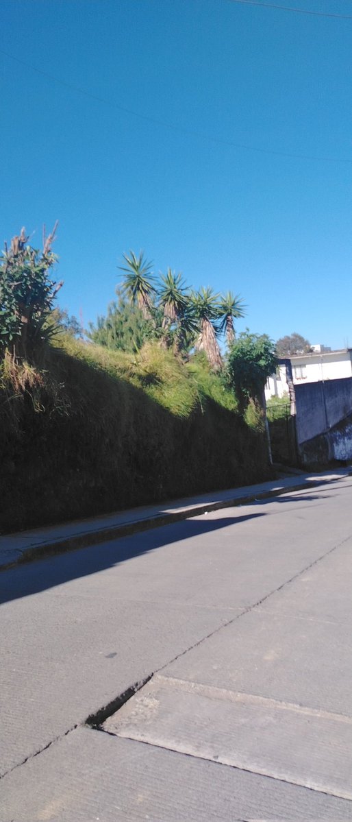 nieve_nieve0383's tweet image. 🌞🌞