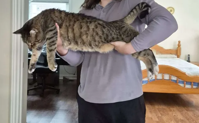 🇨🇦☦️🇺🇦 A nostalgic man tweet media