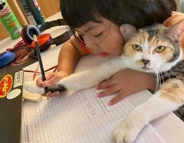 장뚜비 tweet media