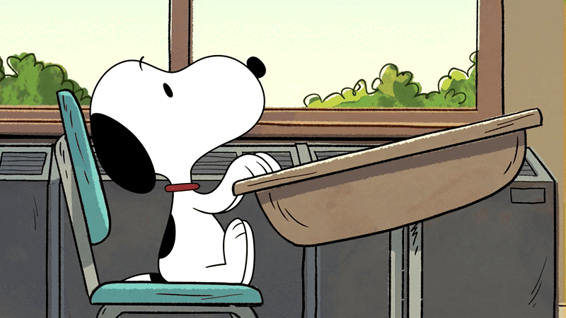 naft 🪩 tweet media