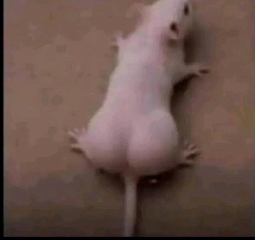 Dauscaler........ tweet media